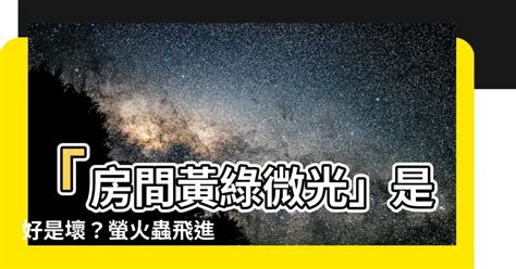 家裡出現螢火蟲代表什麼|【昆蟲】螢火蟲介紹